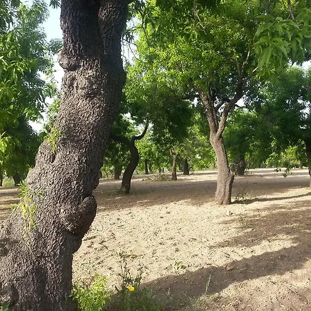 A Lumia