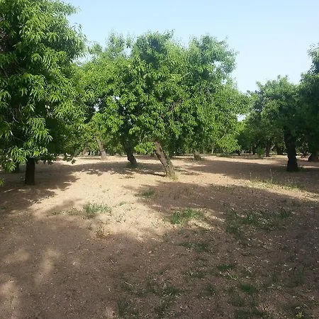 A Lumia Farm stay *