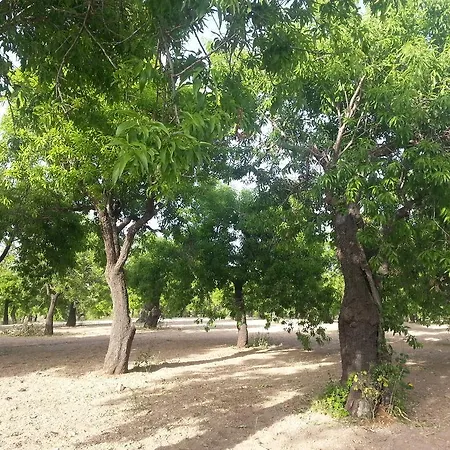 Farm stay A Lumia Noto