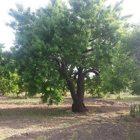 A Lumia * Noto