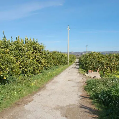 Farm stay A Lumia